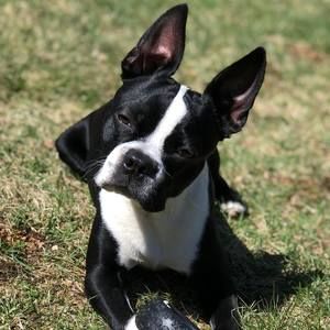 Meet your Posher, Gina